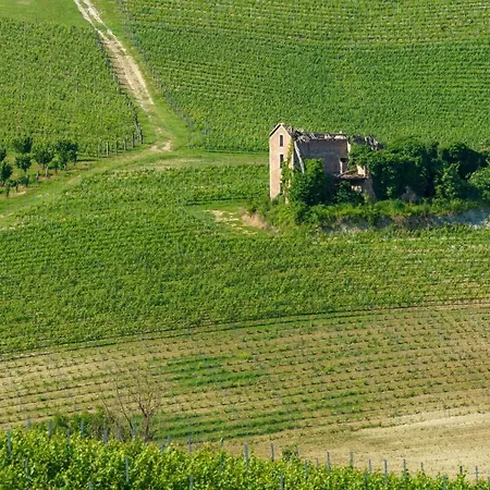Il Dolcetto & La Barbera Nizza Monferrato
