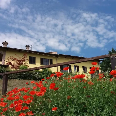 Il Dolcetto & La Barbera *