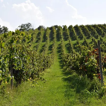 Il Dolcetto & La Barbera