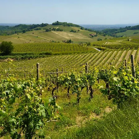 Apartamento Il Dolcetto & La Barbera Nizza Monferrato